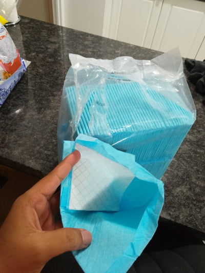 Jessica T.